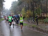 Kasterlee 2014 - 001.jpg